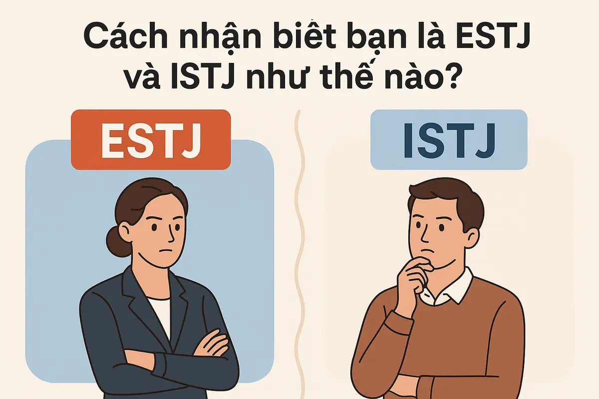 Cách nhận biết bạn là ESTJ và ISTJ như thế nào?