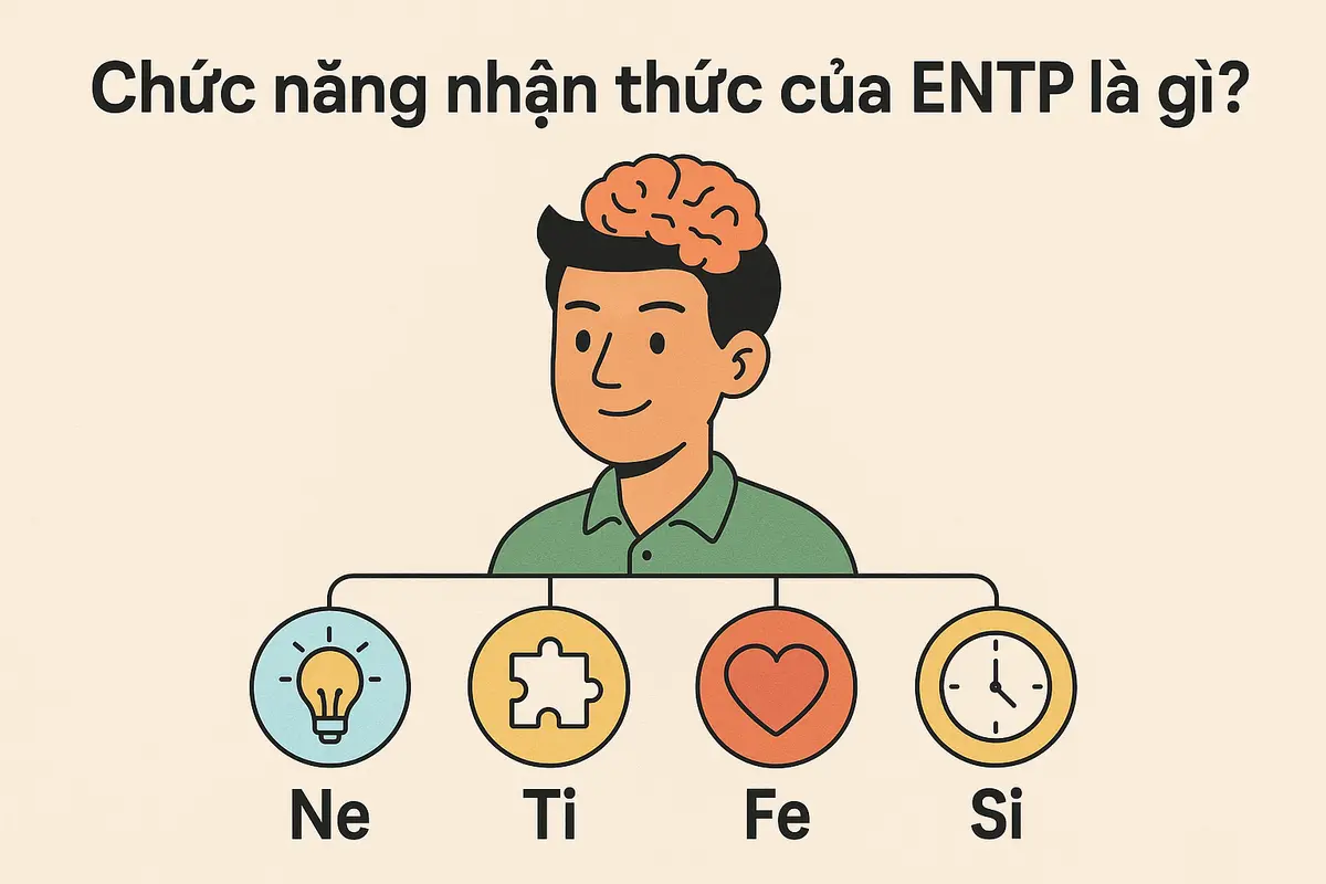 Chức năng nhận thức của ENTP là gì?