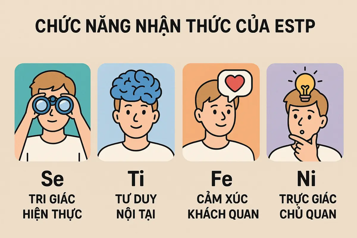 Chức năng nhận thức của ESTP gồm những gì?