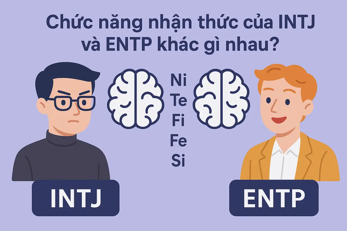 Chức năng nhận thức của INTJ và ENTP khác gì nhau?