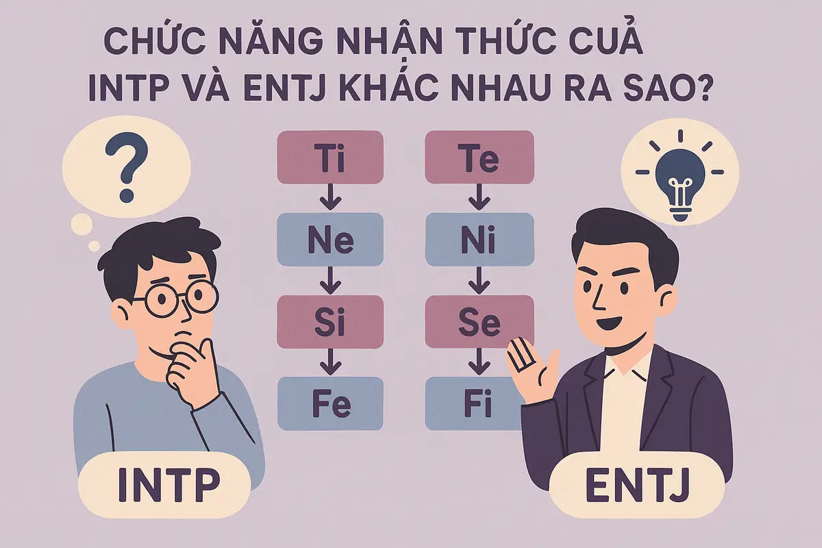 Chức năng nhận thức của INTP và ENTJ khác nhau ra sao?