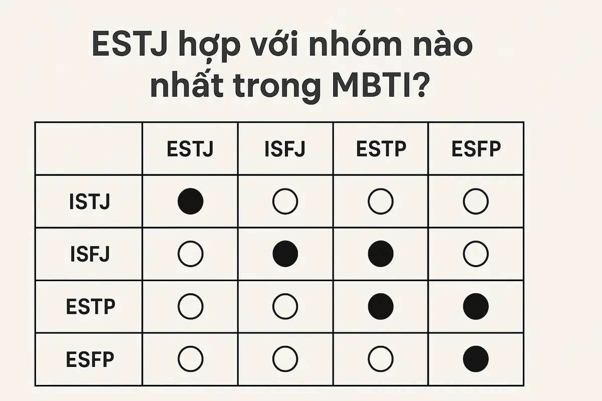 ESTJ hợp với nhóm nào nhất trong MBTI?