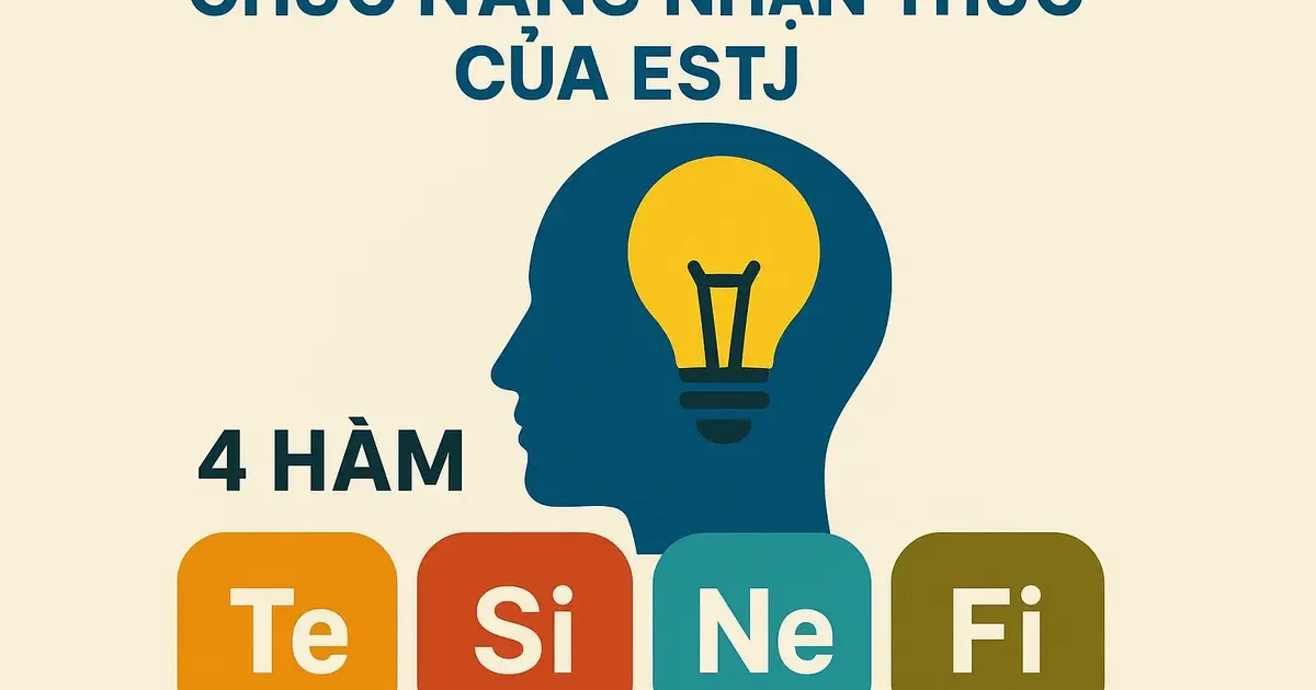 Chức Năng Nhận Thức Của ESTJ: 4 Hàm Te-Si-Ne-Fi