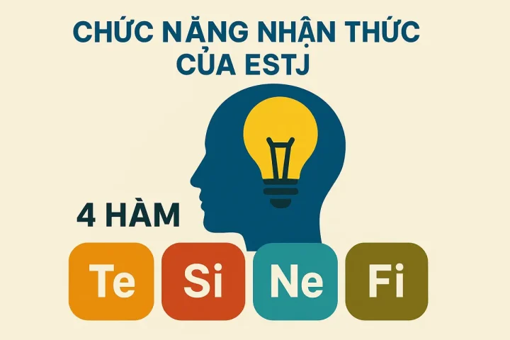Chức Năng Nhận Thức Của ESTJ: 4 Hàm Te-Si-Ne-Fi