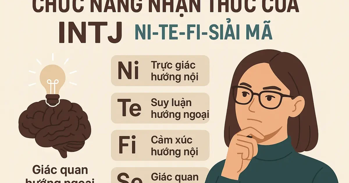 Chức Năng Nhận Thức Của INTJ: Ni-Te-Fi-Se Giải Mã