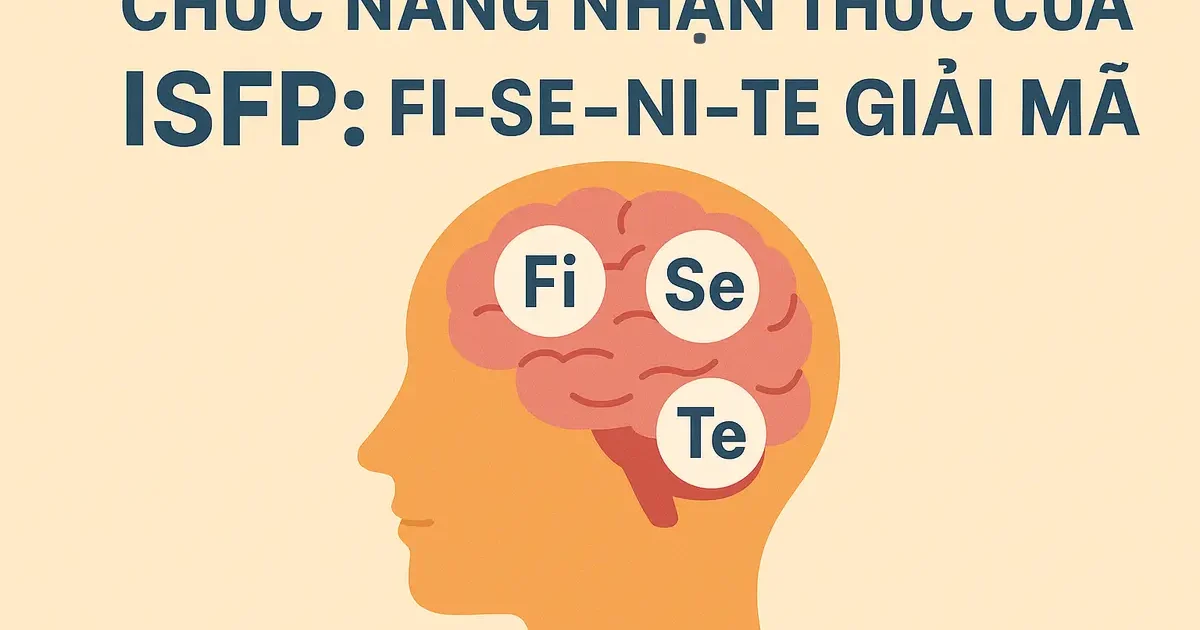 Chức Năng Nhận Thức Của ISFP: Fi–Se–Ni–Te Giải Mã