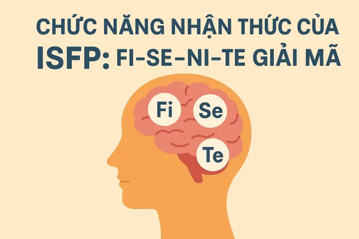Chức Năng Nhận Thức Của ISFP: Fi–Se–Ni–Te Giải Mã