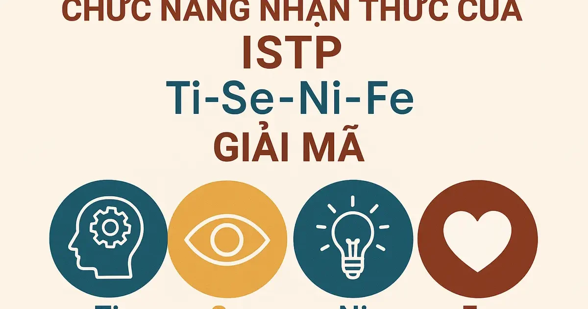 Chức Năng Nhận Thức Của ISTP: Ti-Se-Ni-Fe Giải Mã
