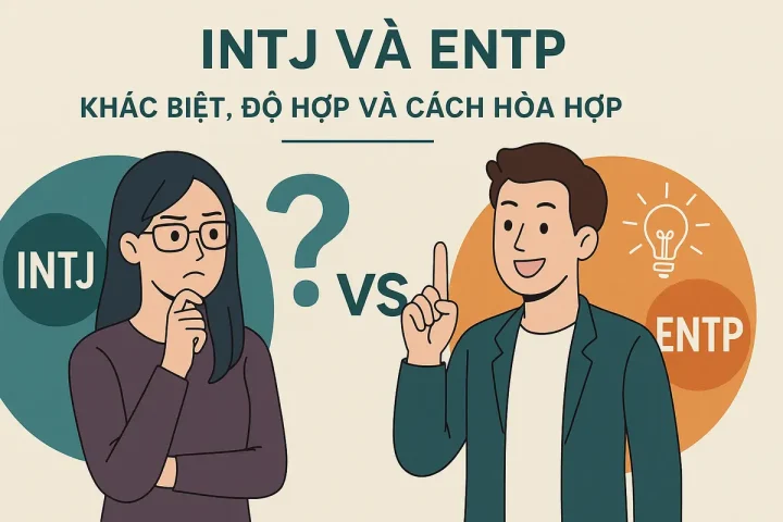 INTJ và ENTP: Khác Biệt, Độ Hợp và Cách Hòa Hợp