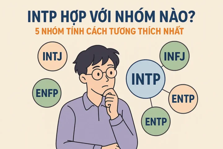intp hợp với nhóm nào? 5 nhóm tính cách tương thích nhất