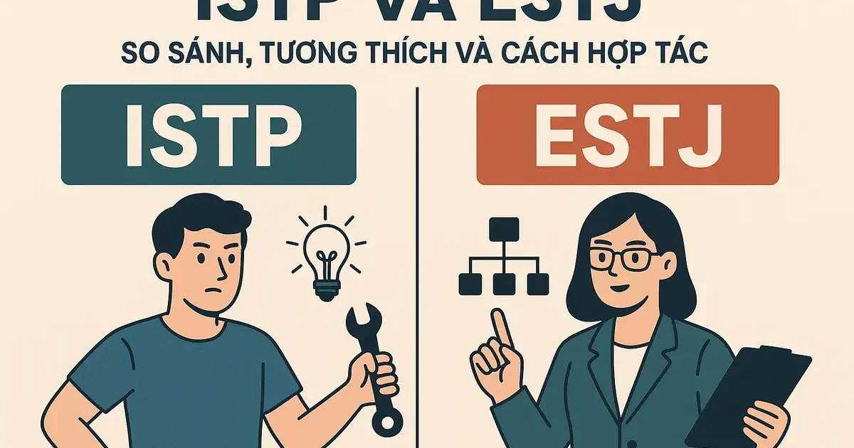 ISTP Và ESTJ: So Sánh, Tương Thích Và Cách Hợp Tác
