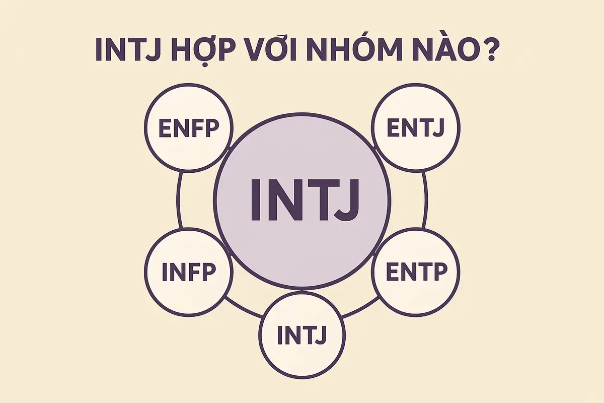 intj hợp với nhóm nào theo lý thuyết MBTI?