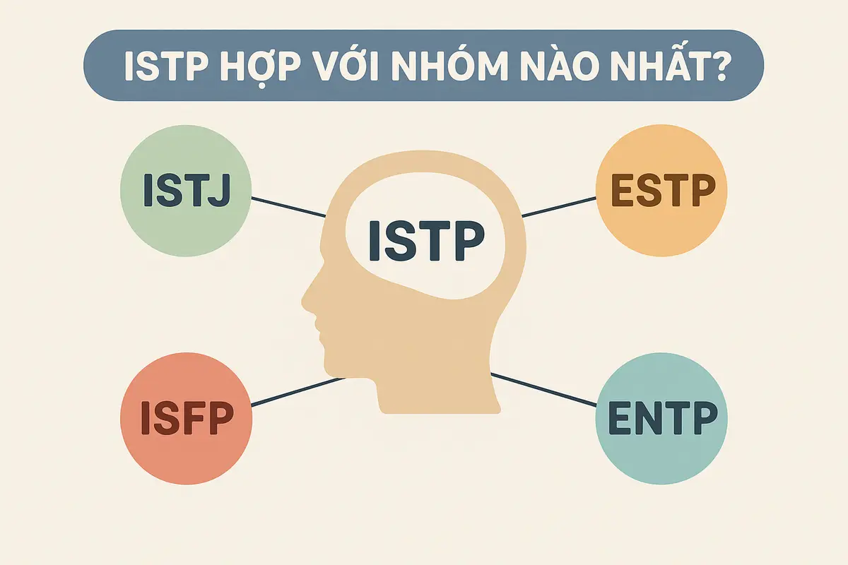 ISTP hợp với nhóm nào nhất?