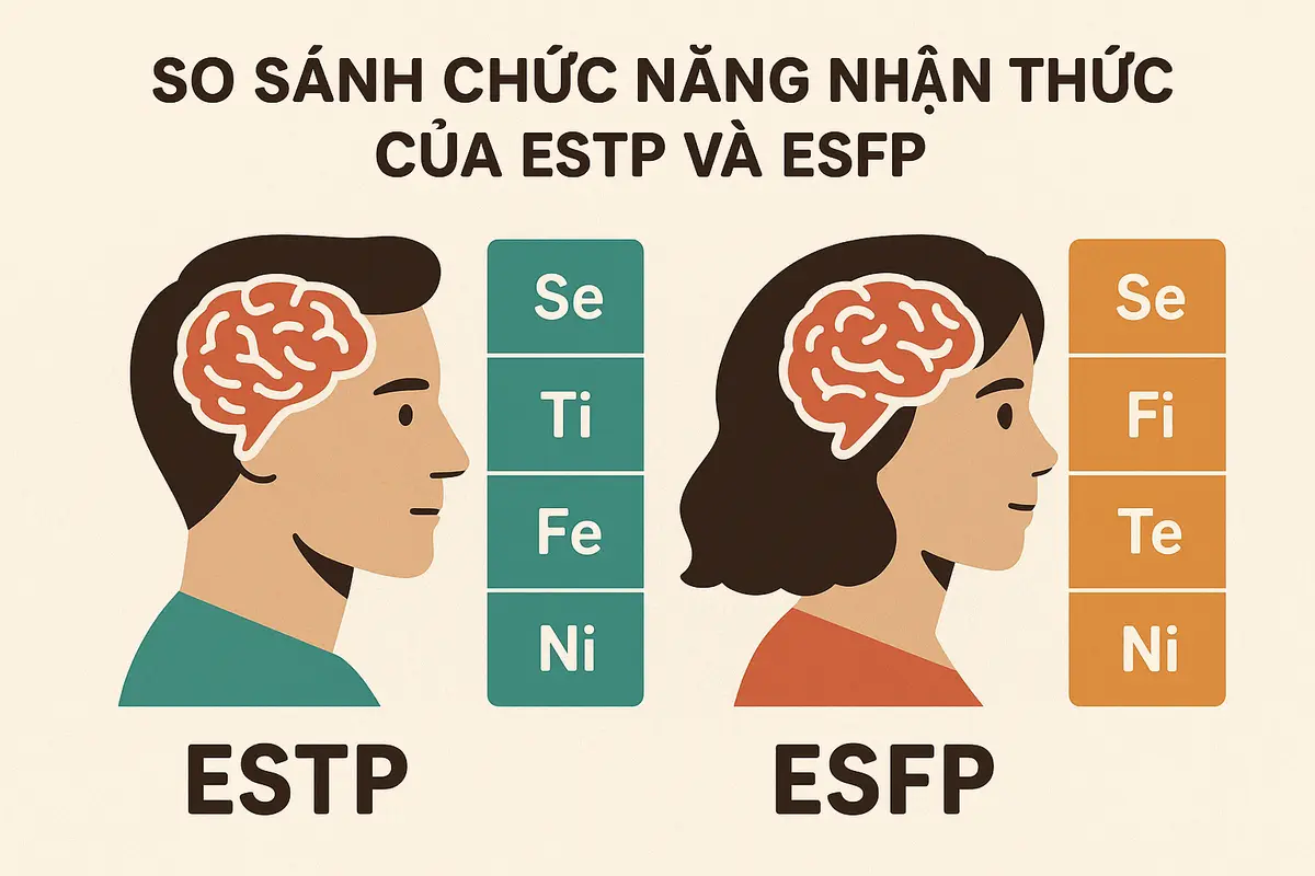 So sánh chức năng nhận thức của ESTP và ESFP