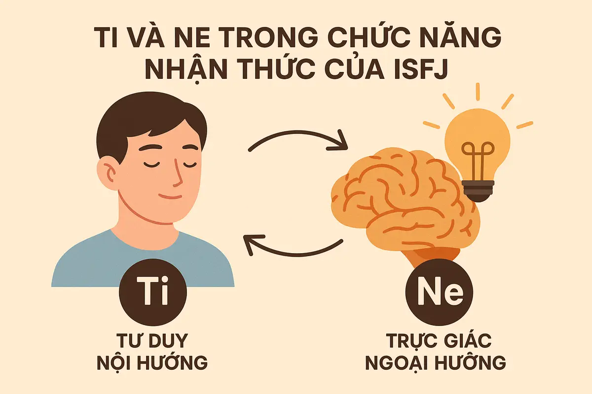 Ti và Ne trong chức năng nhận thức của ISFJ đóng vai trò gì?